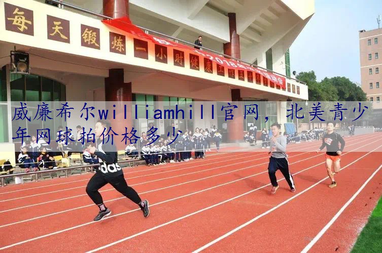 北美青少年网球拍价格多少