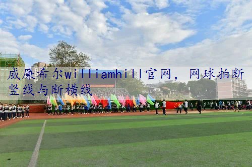网球拍断竖线与断横线