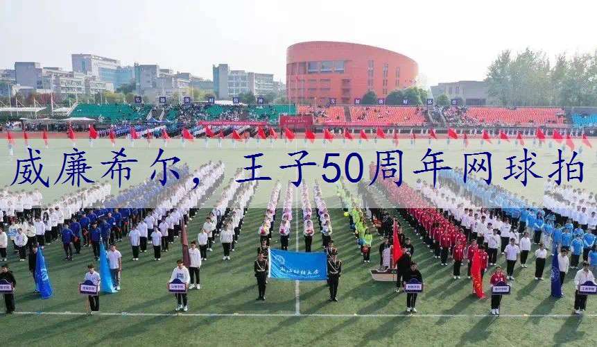 王子50周年网球拍