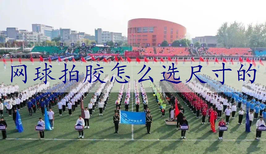网球拍胶怎么选尺寸的