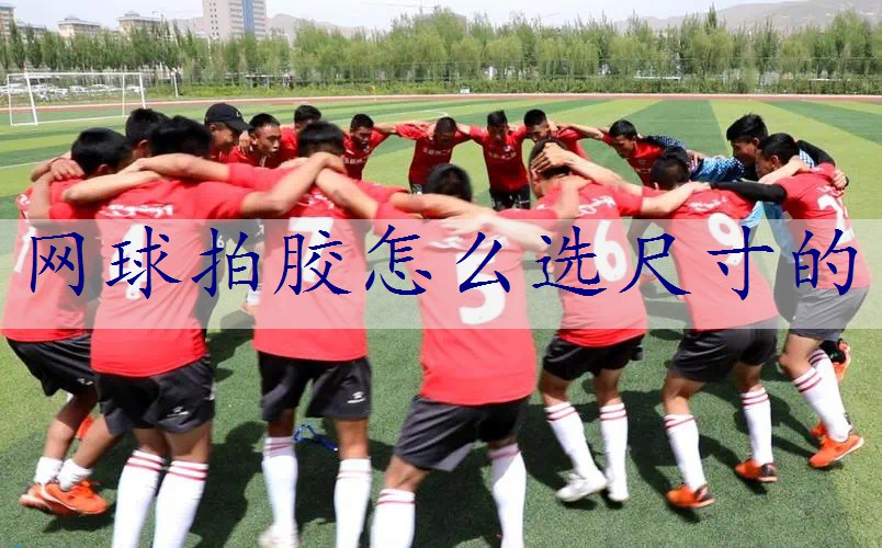 网球拍胶怎么选尺寸的