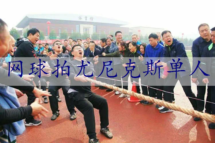 网球拍尤尼克斯单人