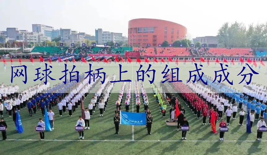 网球拍柄上的组成成分