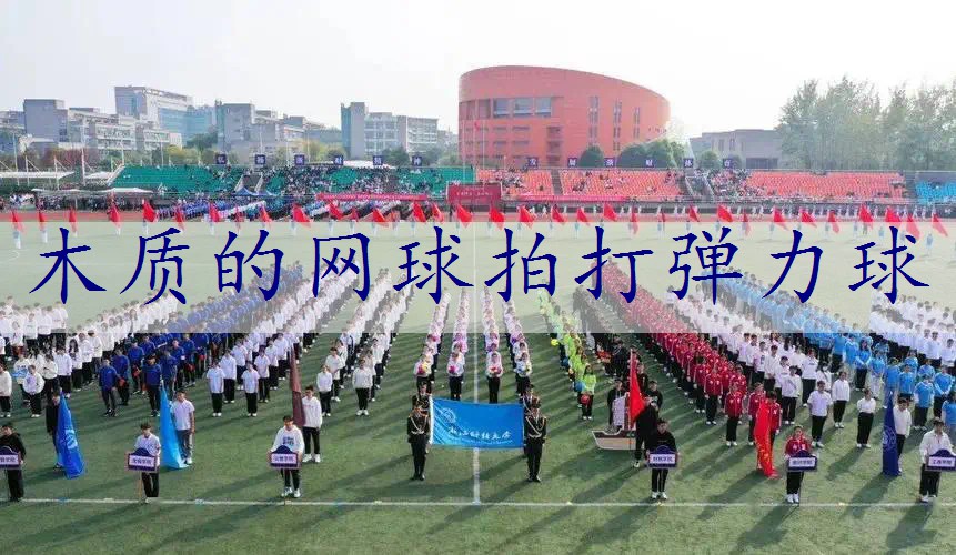 木质的网球拍打弹力球