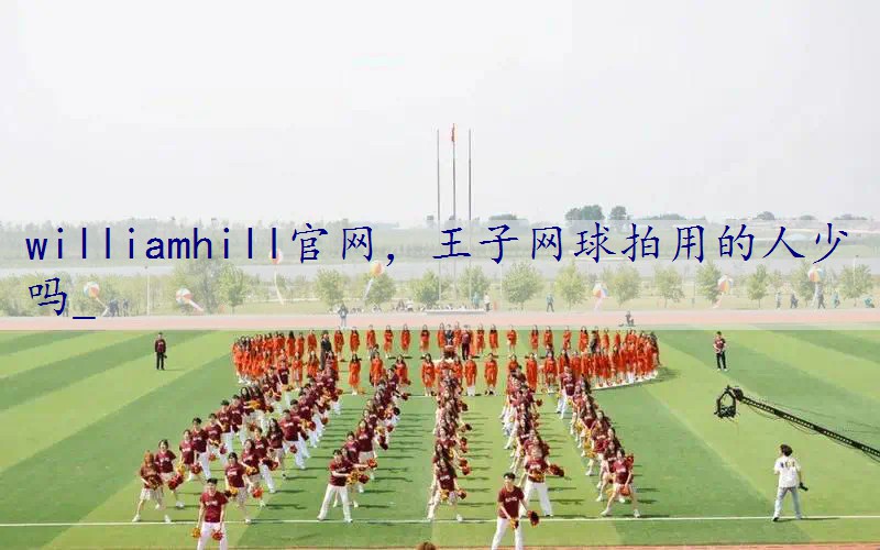 王子网球拍用的人少吗_