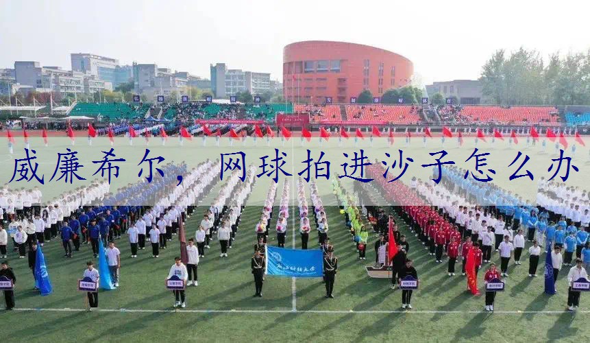 网球拍进沙子怎么办