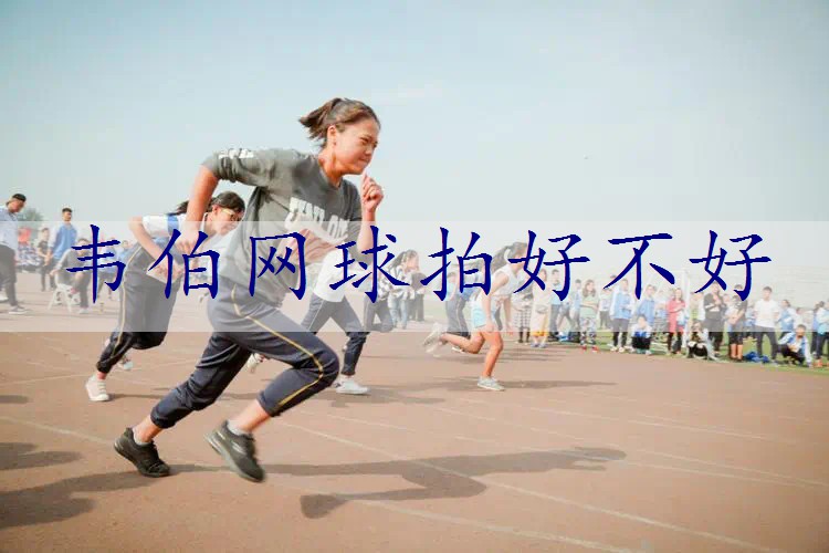 韦伯网球拍好不好