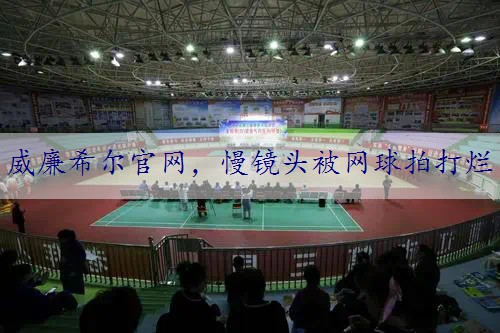 慢镜头被网球拍打烂