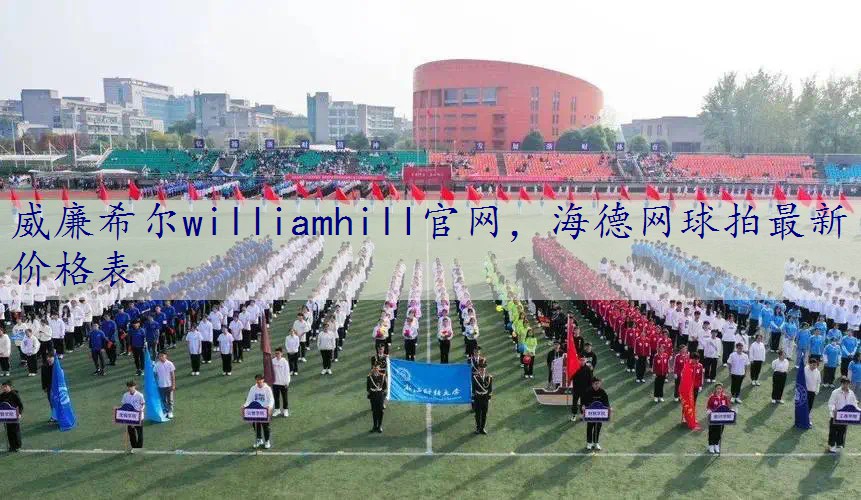 海德网球拍最新价格表