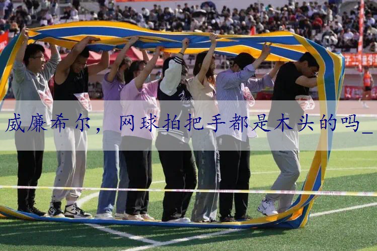 网球拍把手都是木头的吗_