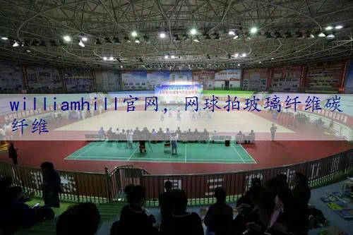 网球拍玻璃纤维碳纤维