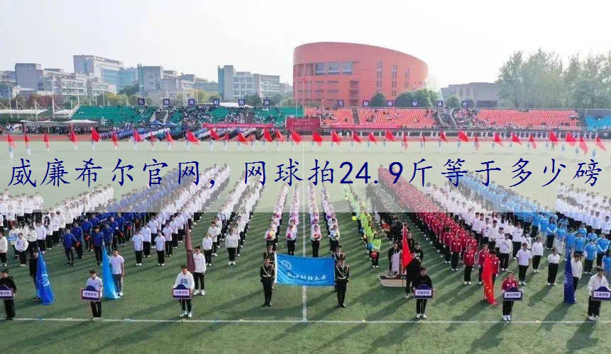 网球拍24.9斤等于多少磅