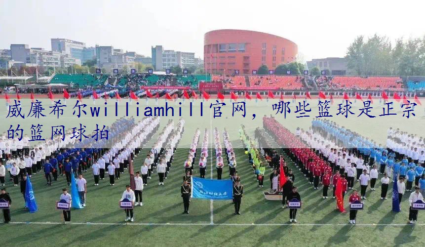 哪些篮球是正宗的篮网球拍