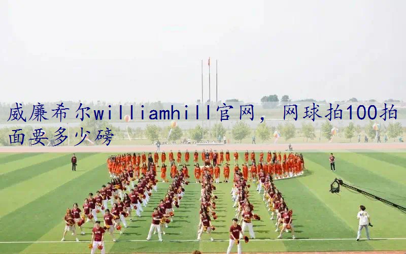 网球拍100拍面要多少磅