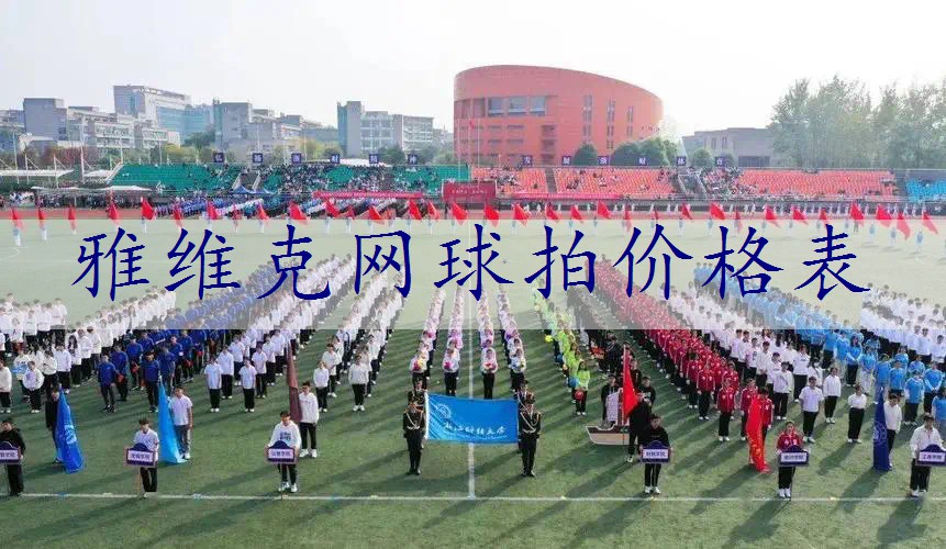 雅维克网球拍价格表