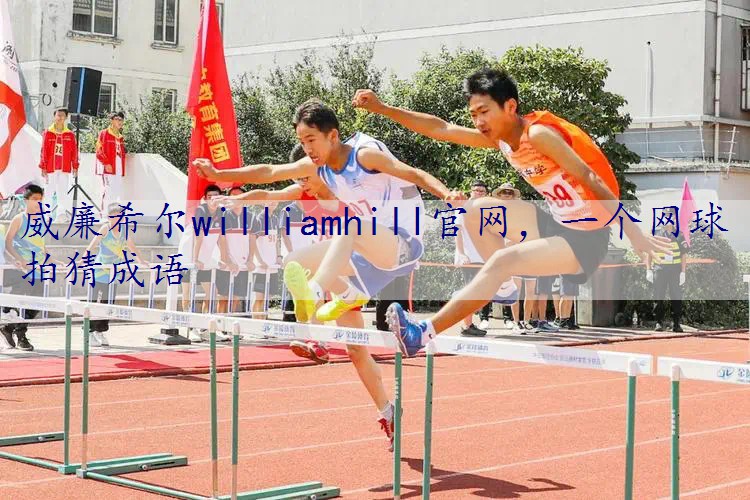 一个网球拍猜成语