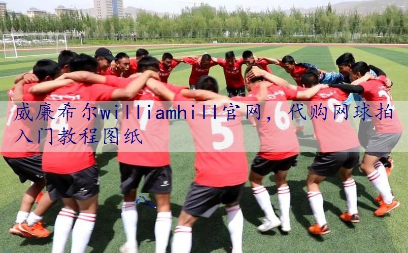 代购网球拍入门教程图纸