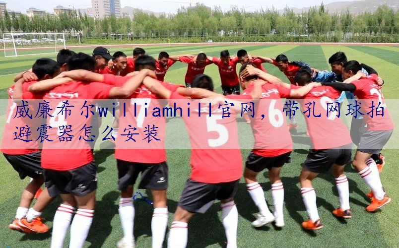 带孔网球拍避震器怎么安装