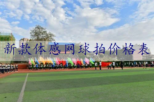 新款体感网球拍价格表