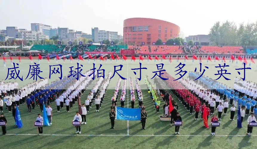 威廉网球拍尺寸是多少英寸