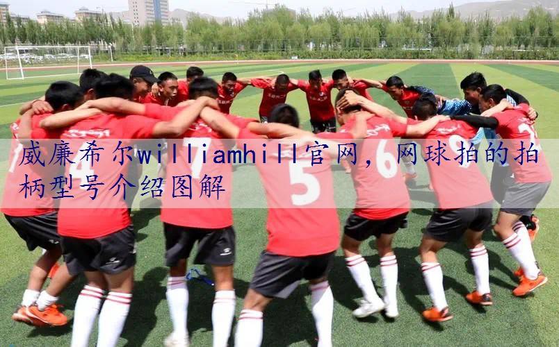 网球拍的拍柄型号介绍图解