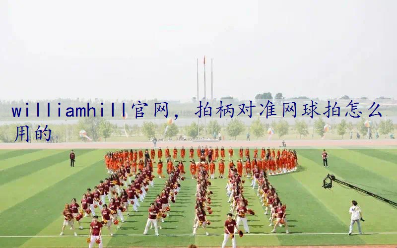 拍柄对准网球拍怎么用的