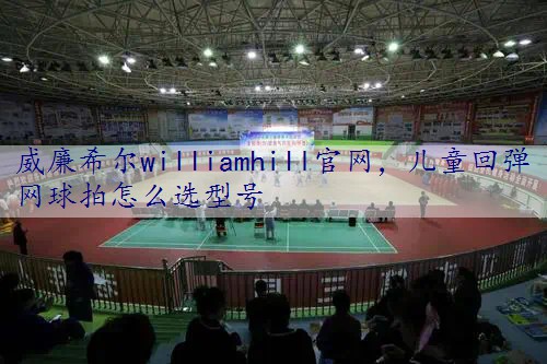 儿童回弹网球拍怎么选型号