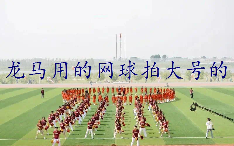 龙马用的网球拍大号的