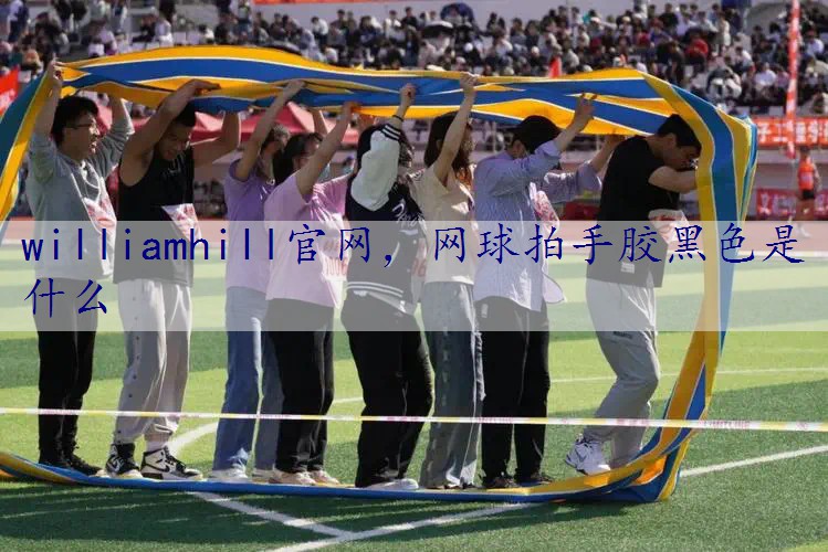 网球拍手胶黑色是什么