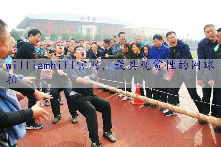 最具观赏性的网球拍