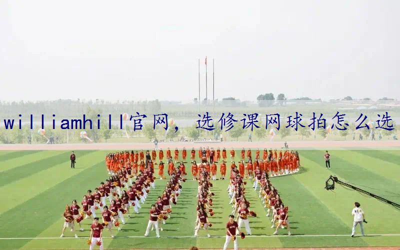 选修课网球拍怎么选