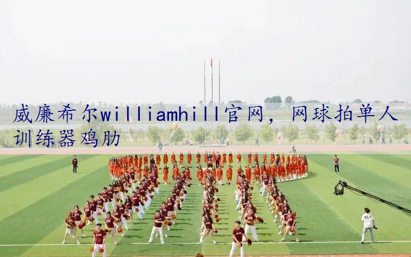网球拍单人训练器鸡肋