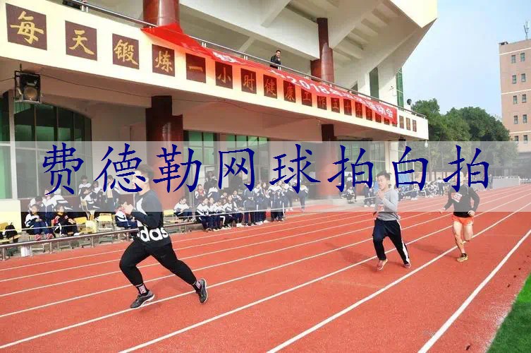 费德勒网球拍白拍