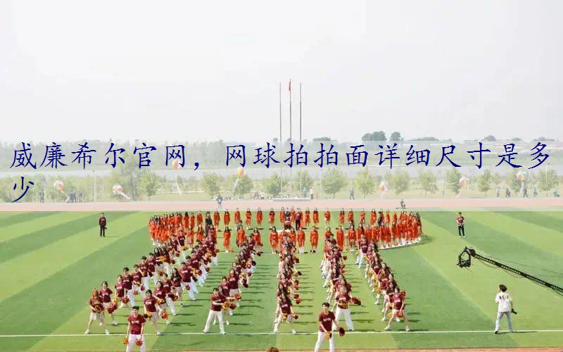 网球拍拍面详细尺寸是多少