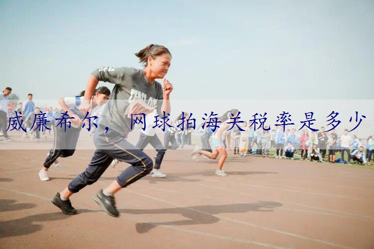 网球拍海关税率是多少