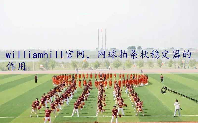 网球拍条状稳定器的作用