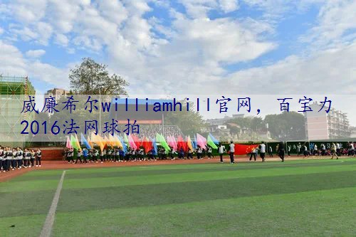百宝力2016法网球拍