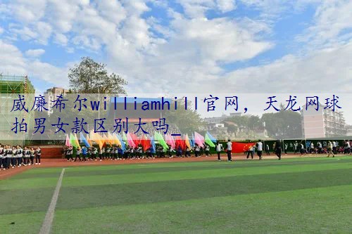 天龙网球拍男女款区别大吗_