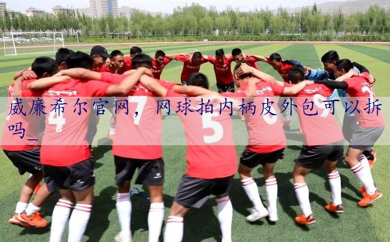 网球拍内柄皮外包可以拆吗_