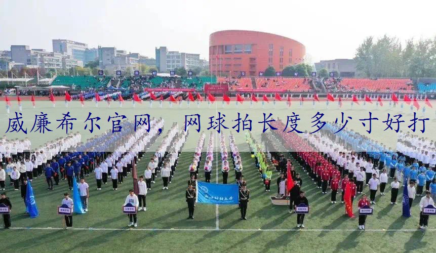 网球拍长度多少寸好打