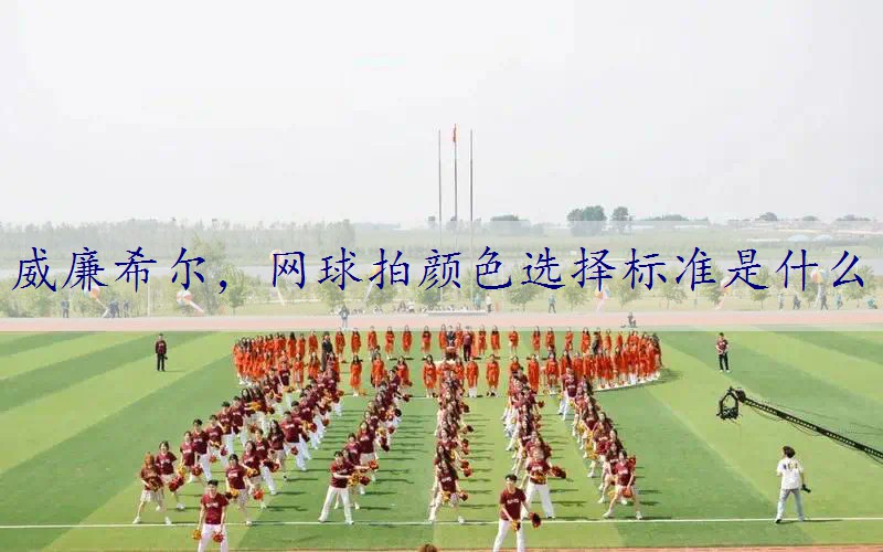 网球拍颜色选择标准是什么