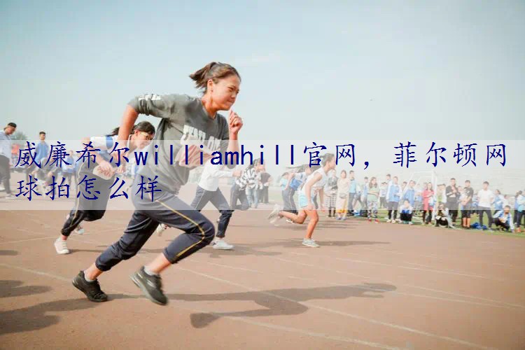 菲尔顿网球拍怎么样