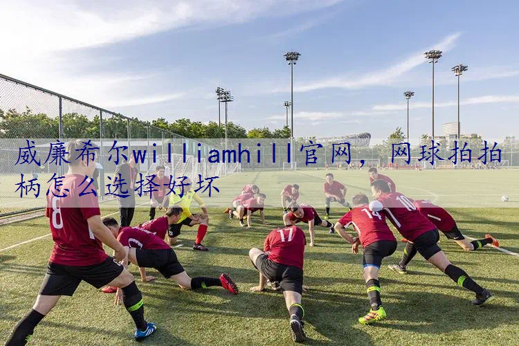 网球拍拍柄怎么选择好坏