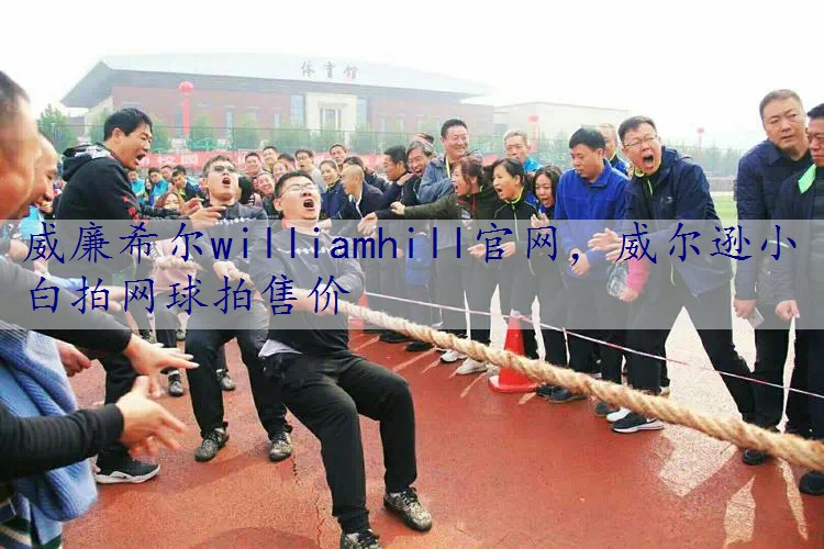 威尔逊小白拍网球拍售价