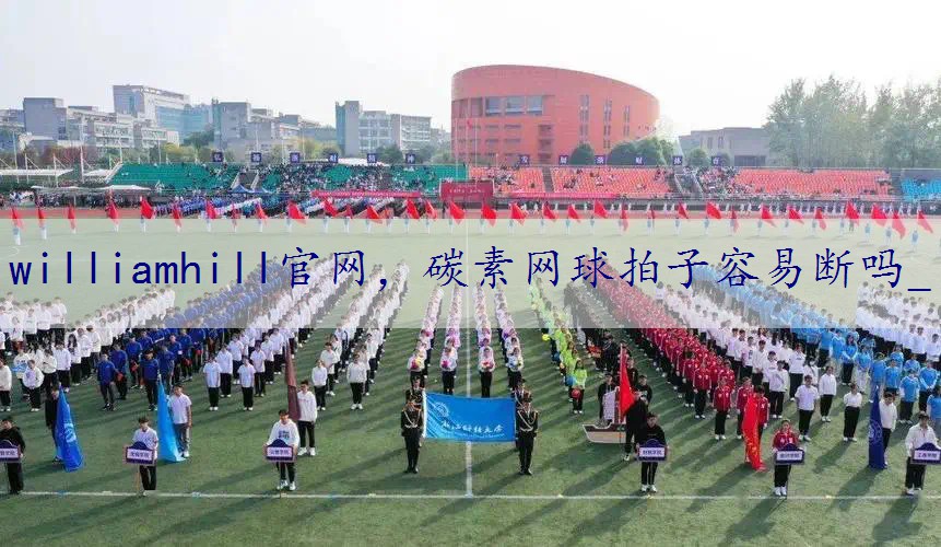 碳素网球拍子容易断吗_