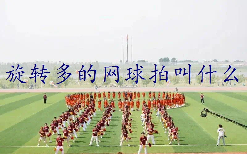 旋转多的网球拍叫什么
