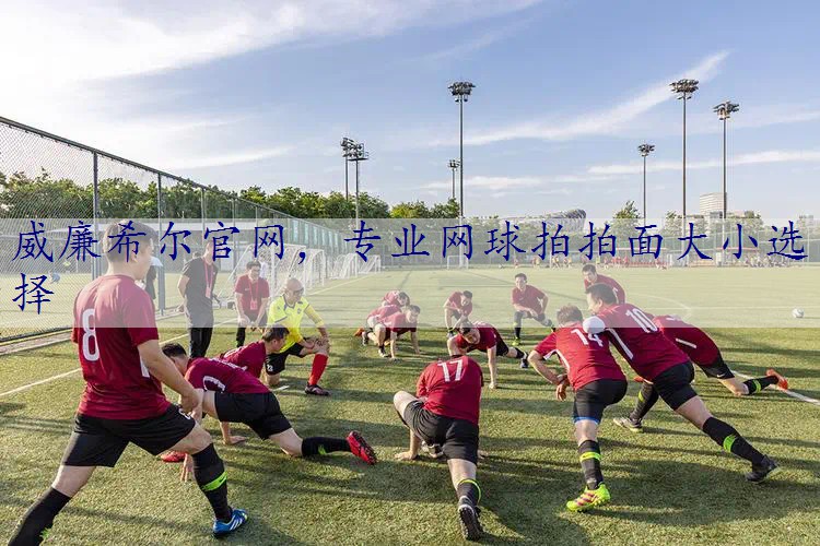 专业网球拍拍面大小选择