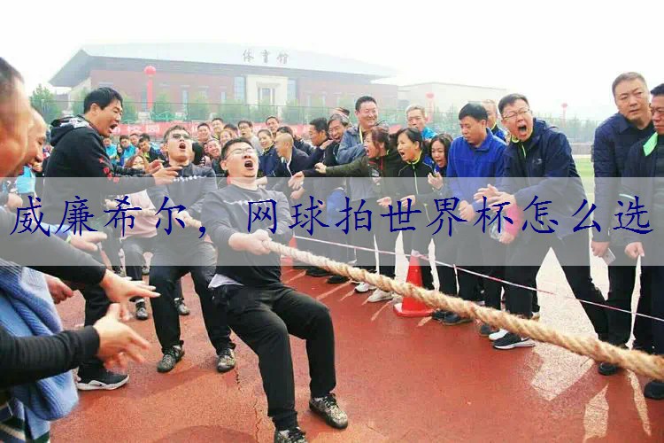 网球拍世界杯怎么选