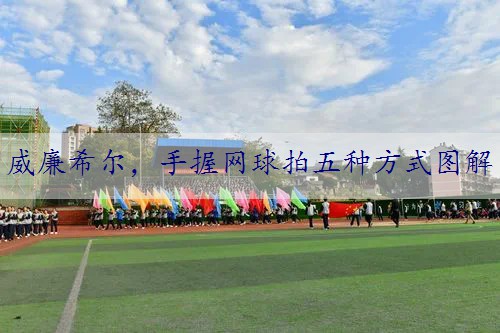 手握网球拍五种方式图解