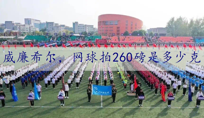 网球拍260磅是多少克